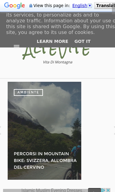 Mobile view