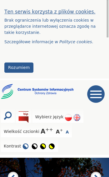 Mobile view