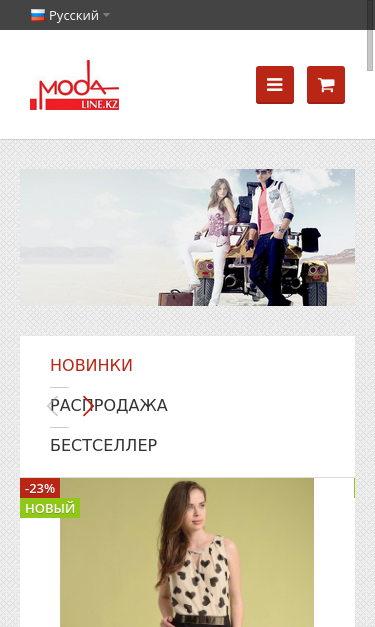 Mobile view