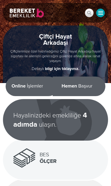 Mobile view