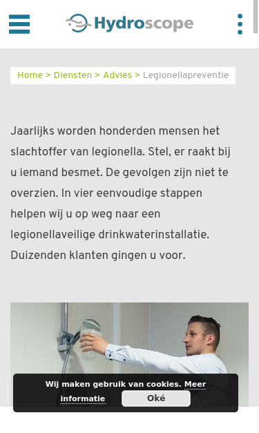 Mobile view
