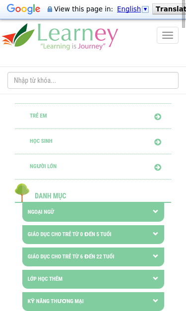 Mobile view