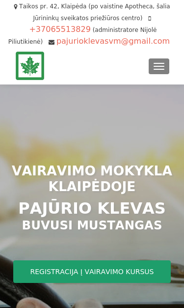 Mobile view