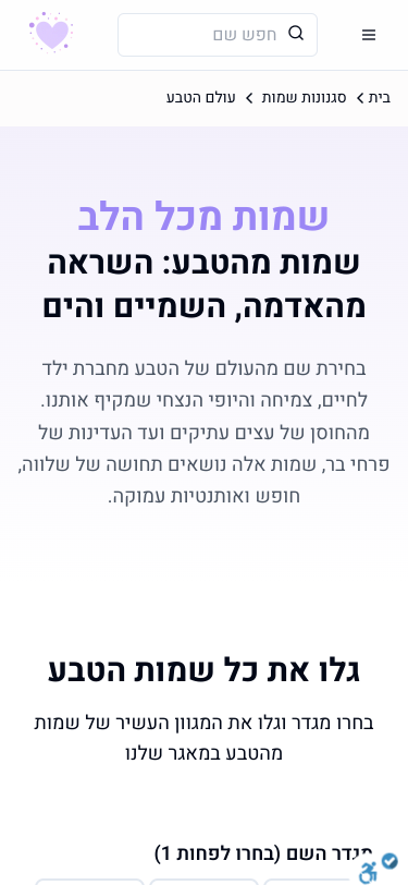 Mobile view