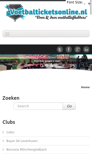 Mobile view