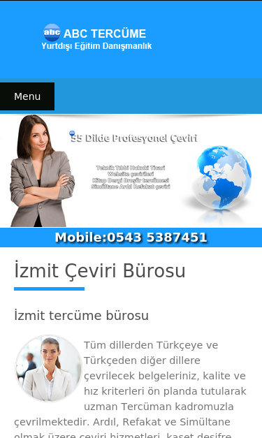 Mobile view