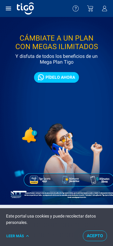 Mobile view