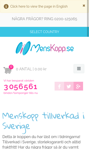 Mobile view