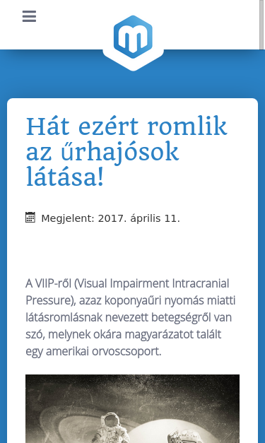 Mobile view