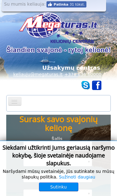 Mobile view