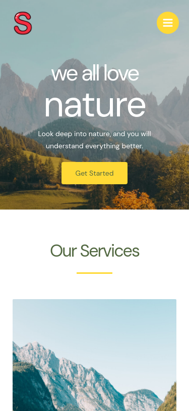 Mobile view