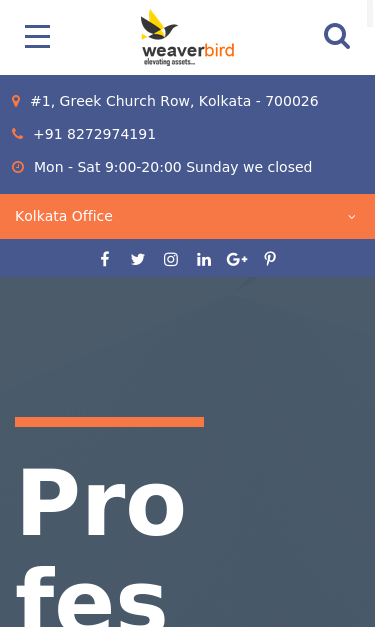 Mobile view