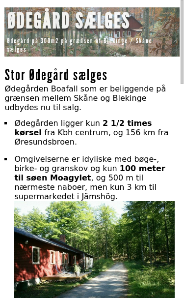 Mobile view