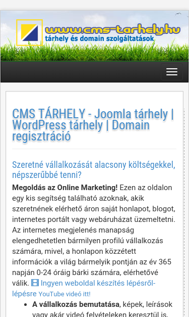 Mobile view