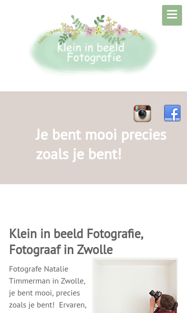 Mobile view