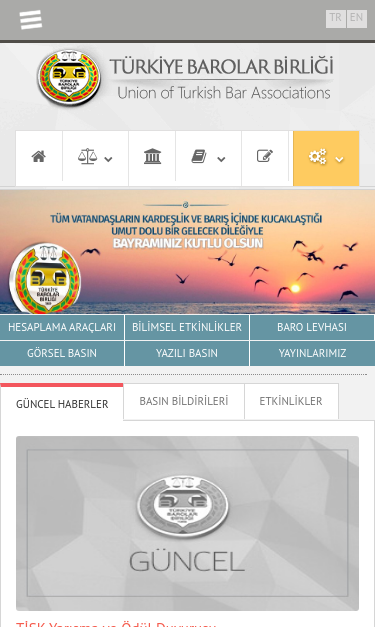 Mobile view