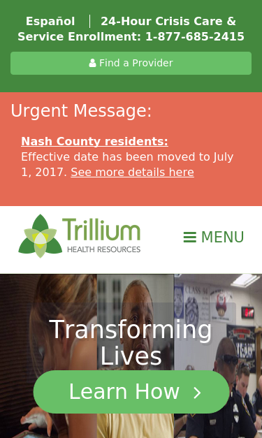 Mobile view