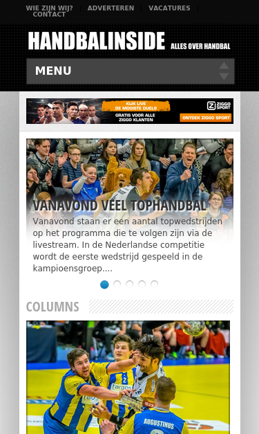 Mobile view