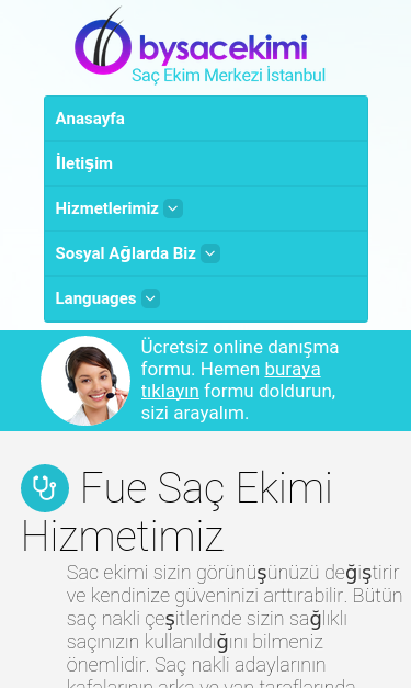 Mobile view