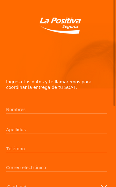 Mobile view