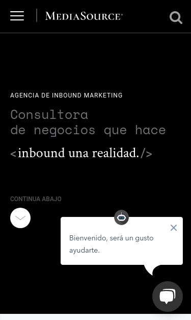 Mobile view
