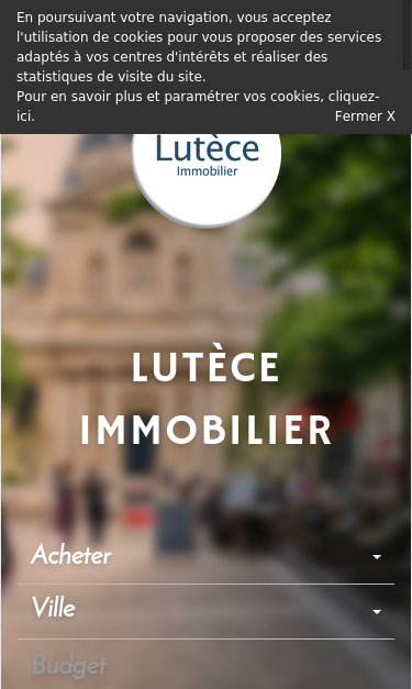 Mobile view