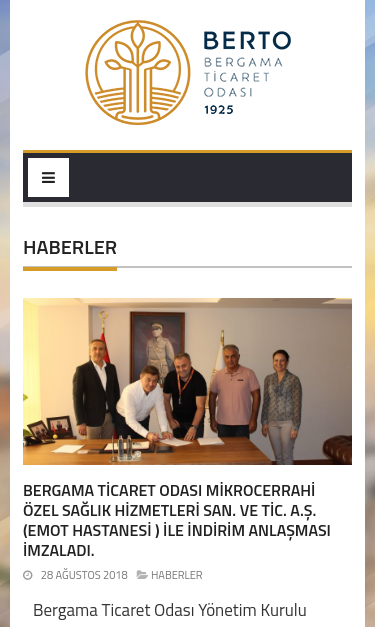 Mobile view