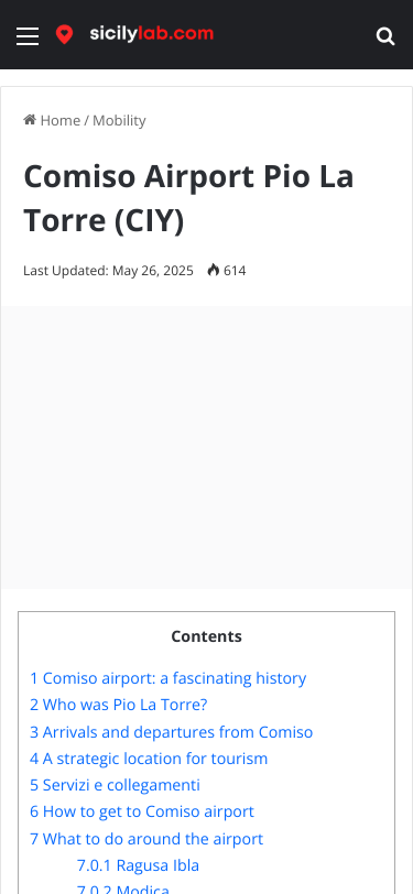 Mobile view