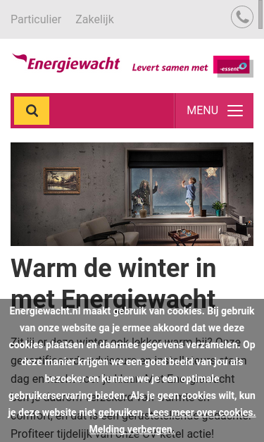 Mobile view