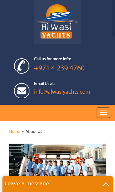 Mobile view