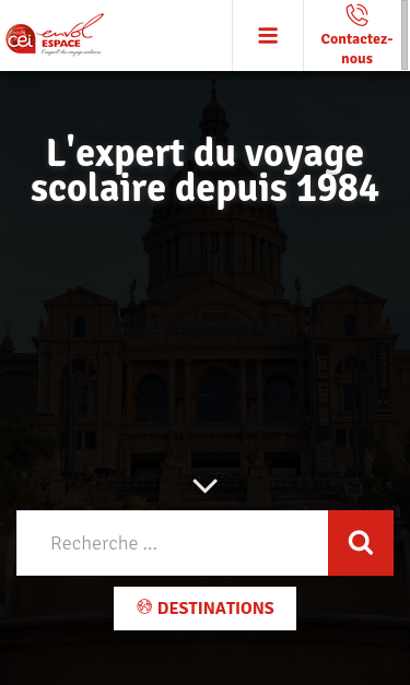 Mobile view