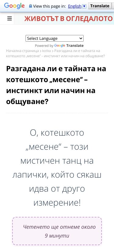 Mobile view