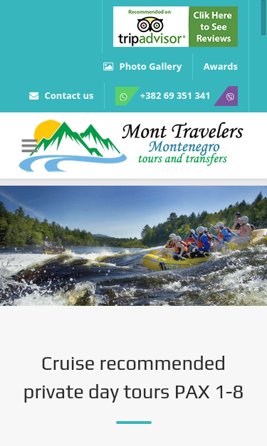 Mobile view