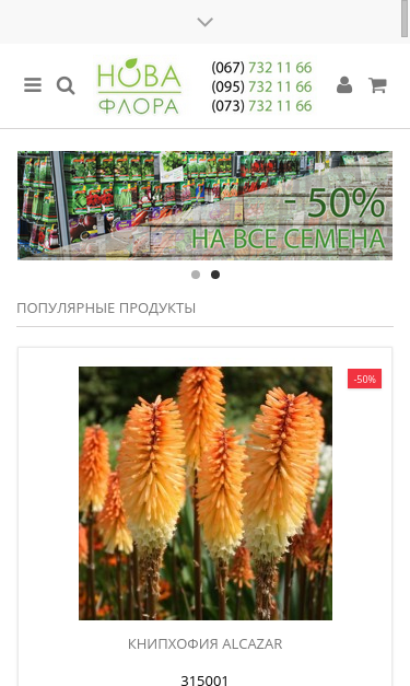 Mobile view