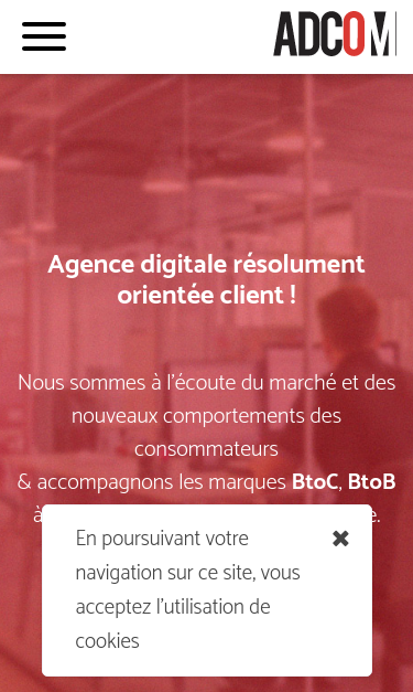 Mobile view