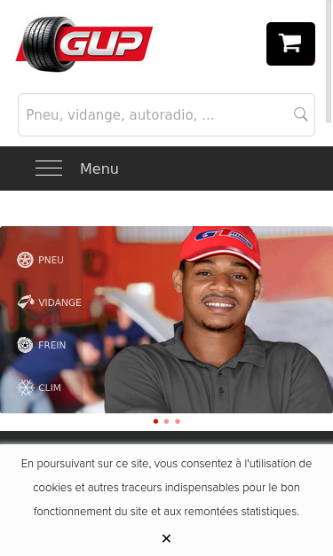 Mobile view