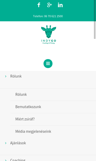 Mobile view