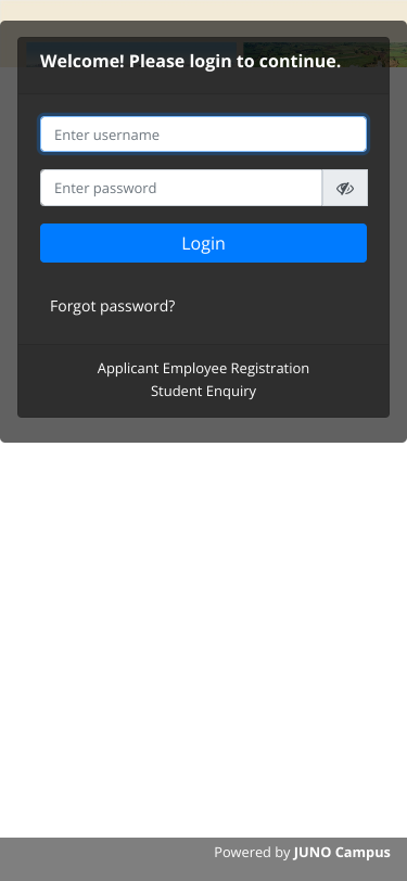 Mobile view