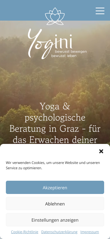 Mobile view