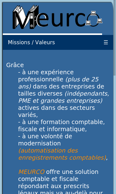 Mobile view