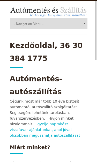 Mobile view