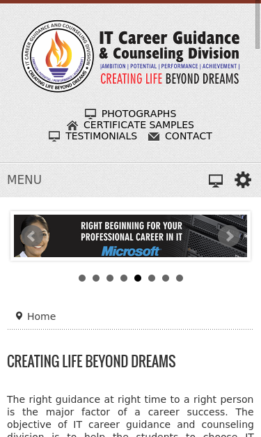Mobile view