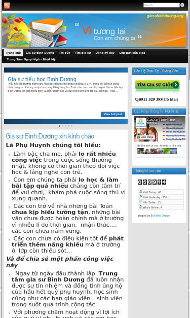 Mobile view