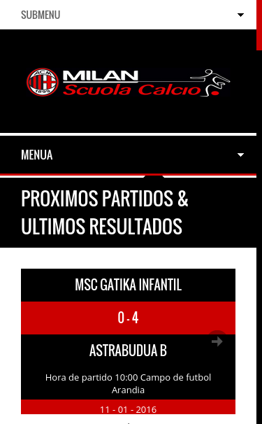 Mobile view