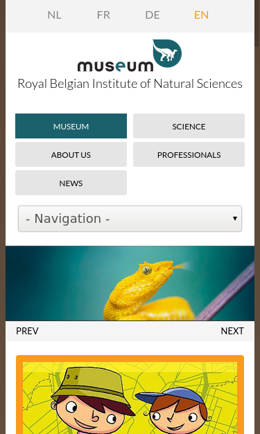 Mobile view