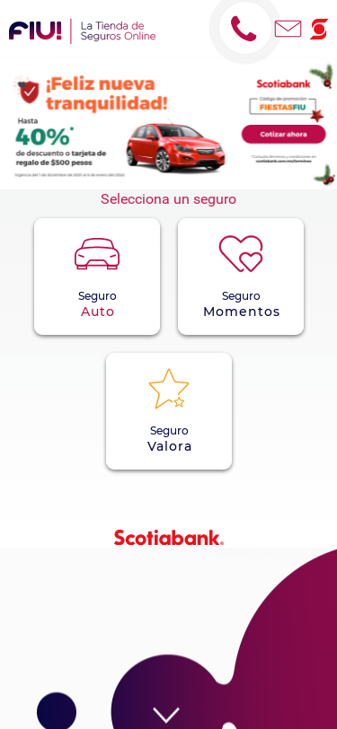 Mobile view