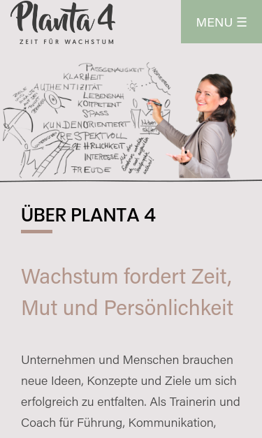 Mobile view
