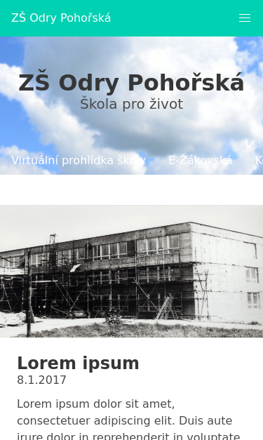 Mobile view