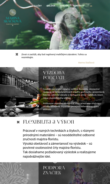 Mobile view