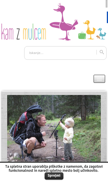 Mobile view